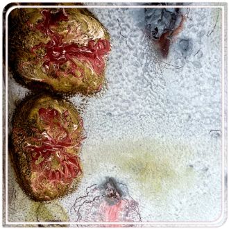 Diritto Alimentare